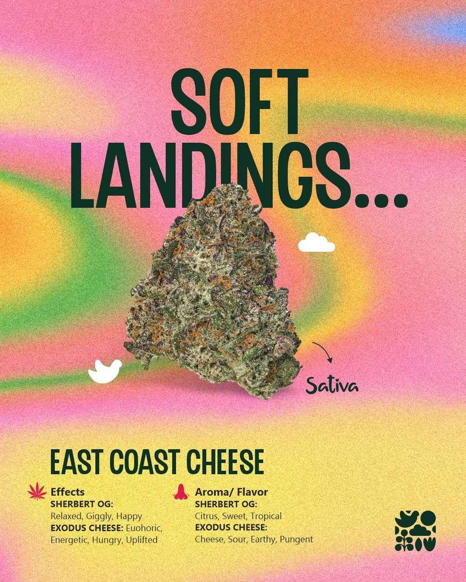 Springtime Co Springtime Co. (@thespringtimeco) / Posts / X