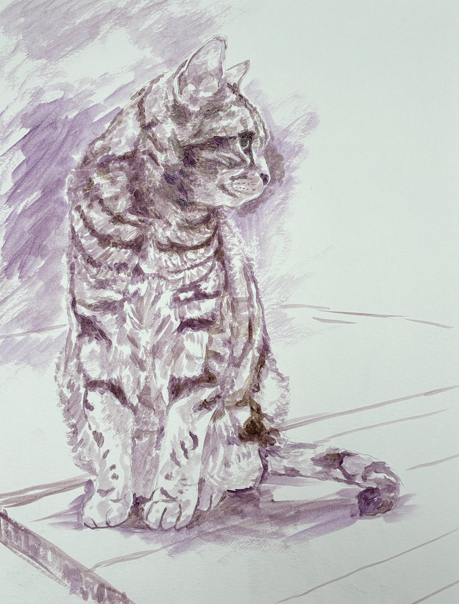 猫絵 🐈‍🖼の途中経過 in progress その1 アメショーの女の子描き始め