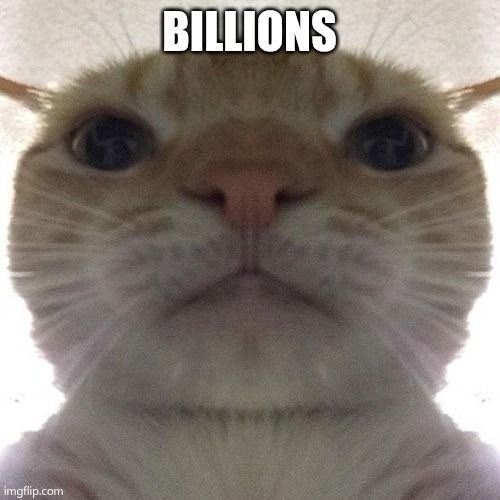 GusicStaringCat's tweet photo. It’s Gusic https://t.co/JUpVs56HMV