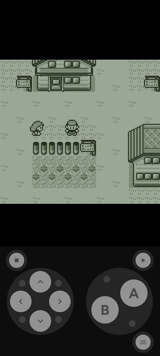 debu_guy's tweet photo. Fuck X, insta. I'm playing Pokemon red. Just me and a small town. 

I'm quitting social media cause I'm into pokemon. https://t.co/RJhxRMiQk5