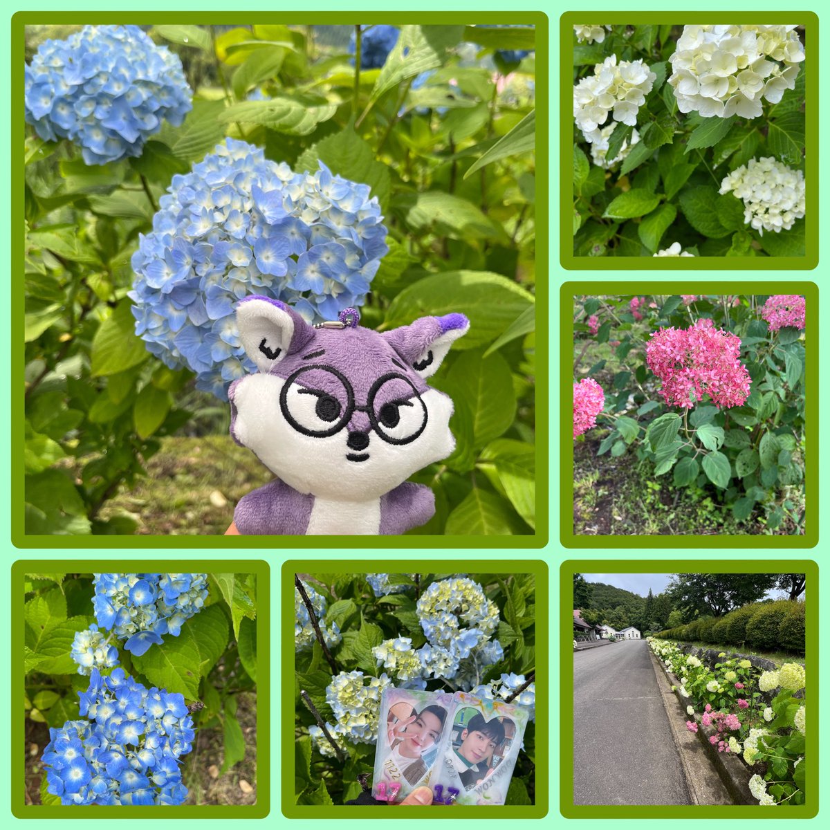 ko_tsuringo's tweet photo. 遅くなっちゃったけど
こちらもやっと紫陽花が
咲きました😊😭
あれから腰痛が悪化してしまい
😱足の痺れ😭今日から
1週間、仕事休む事と、
なりました😭🥺紫陽花が
咲き終わる頃には、良くなると
いいなー😭 https://t.co/bKK8G6iwip