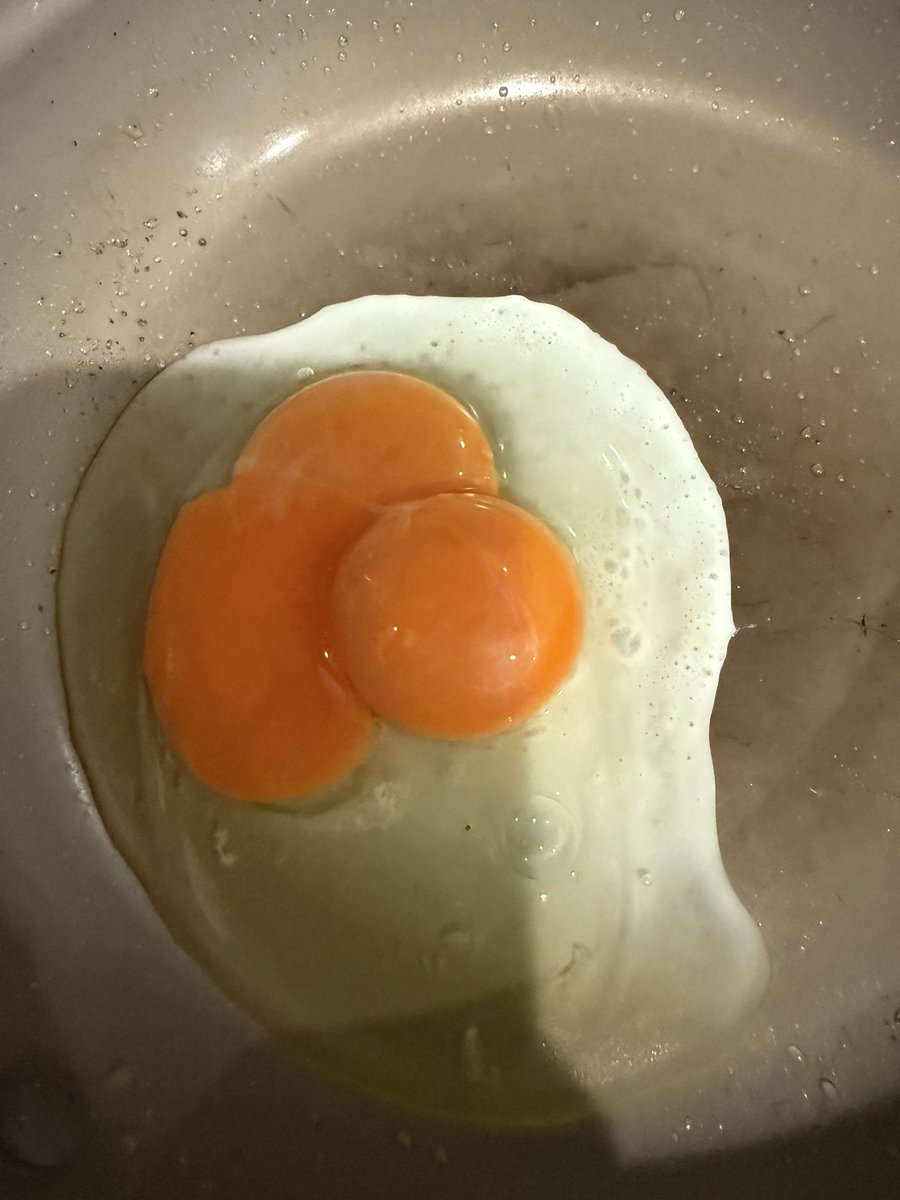 valllencro's tweet photo. ふたご🥚 https://t.co/QXglr9eVp3