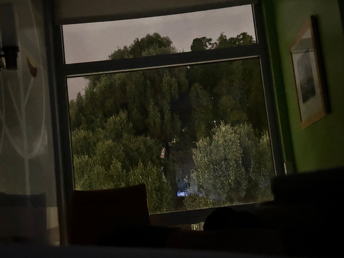 funfetti_freddy's tweet photo. Spending the night at the hospital or the zombies would get me https://t.co/1PPyA2ztFW