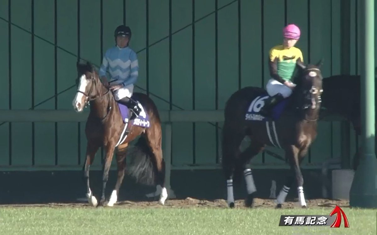 NakayamaFesuta1's tweet photo. little Melody Lane, and her little brother, Titleholder, at G1 Arima Kinen paddock back in 2021 https://t.co/3ubXZnfl8T
