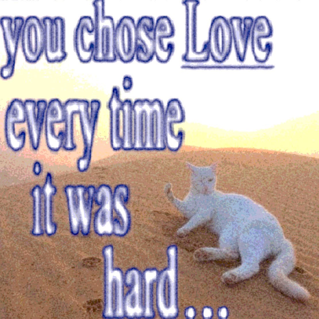 binxpoint's tweet photo. mine is so silly but so me lmao

♡ plushie
♡ outfit
♡ icon 
♡ quote https://t.co/nany0OWhAk
