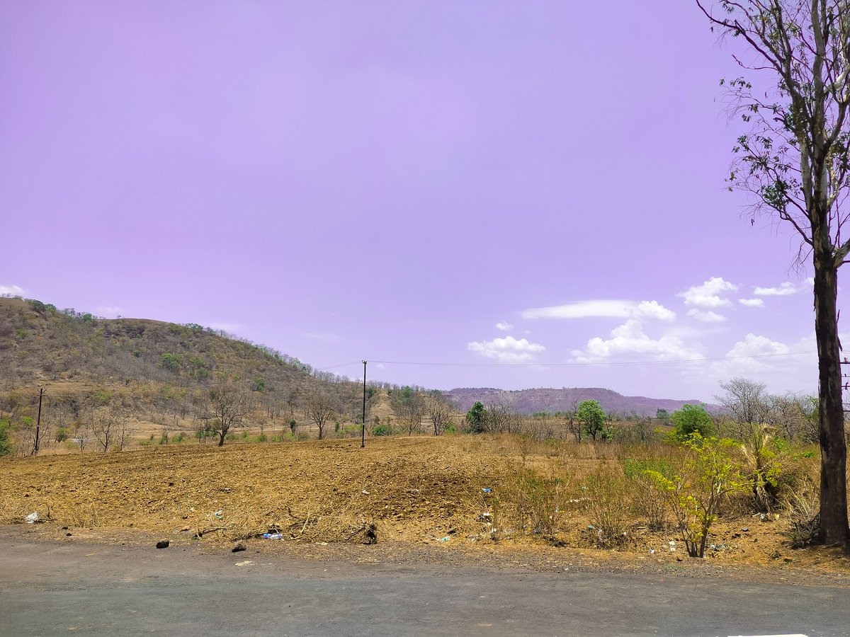 coderabhiram's tweet photo. #TuesdayTrees #TreeClub #mountains https://t.co/WVlgvhvY3c