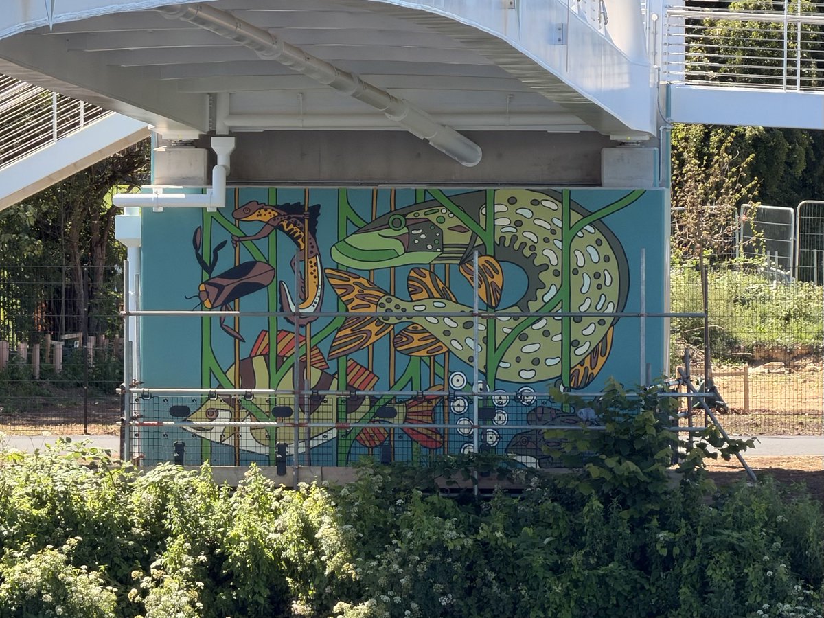 Rushcliffe's tweet photo. 🎨A beautiful new wildlife themed mural has been unveiled on Waterside Bridge as part of a collaborative project with @MyNottingham!

Walkers and cyclists can now enjoy the artwork thanks to the work of local artists Nathan Bainbridge and Tom Wood👏

More: https://t.co/4MiiZRK5vP https://t.co/Bf8n8HGTVl