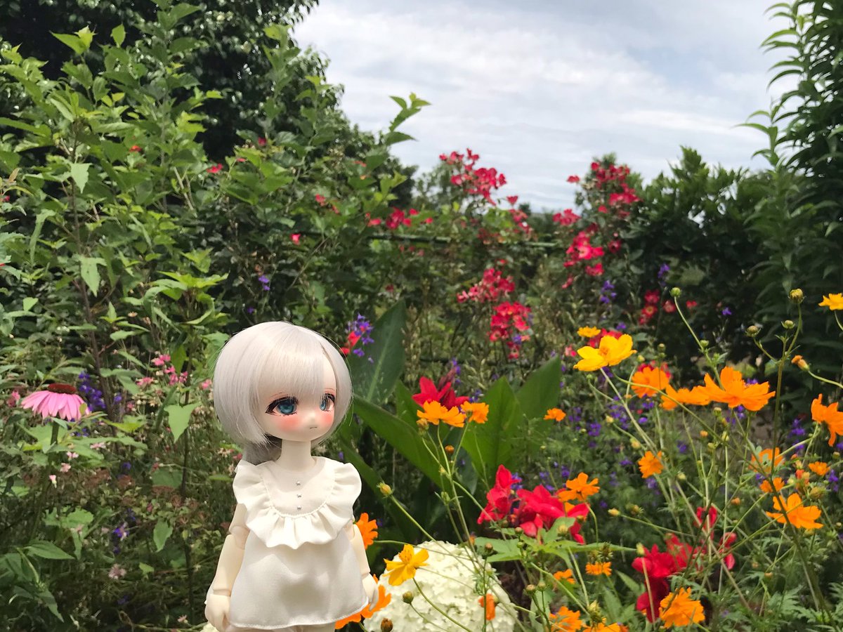 fleiyu's tweet photo. ノーミ君in花園 #TinyFox https://t.co/30wrkgBGnj