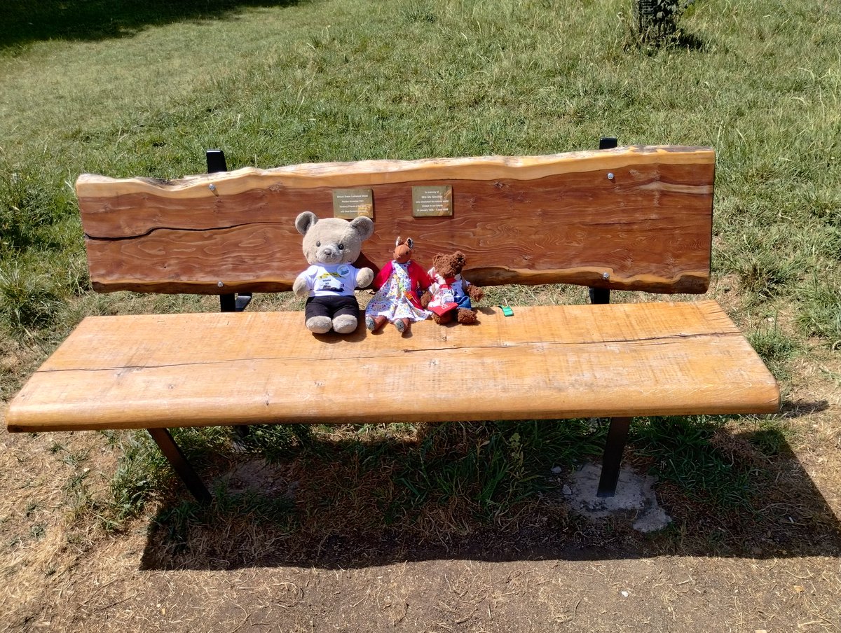 TourGuideTed's tweet photo. OMB, the human obviously has heat stroke. She bought Frank (et al) some cake!! He's forgotten what cake looks like, he says #Flatties @GeckoComms 

We are darn sarf for a bench "unveiling" to  Gecko's Mrs Mo (the old lady not the old lady mouse) https://t.co/M9229W2Qbq