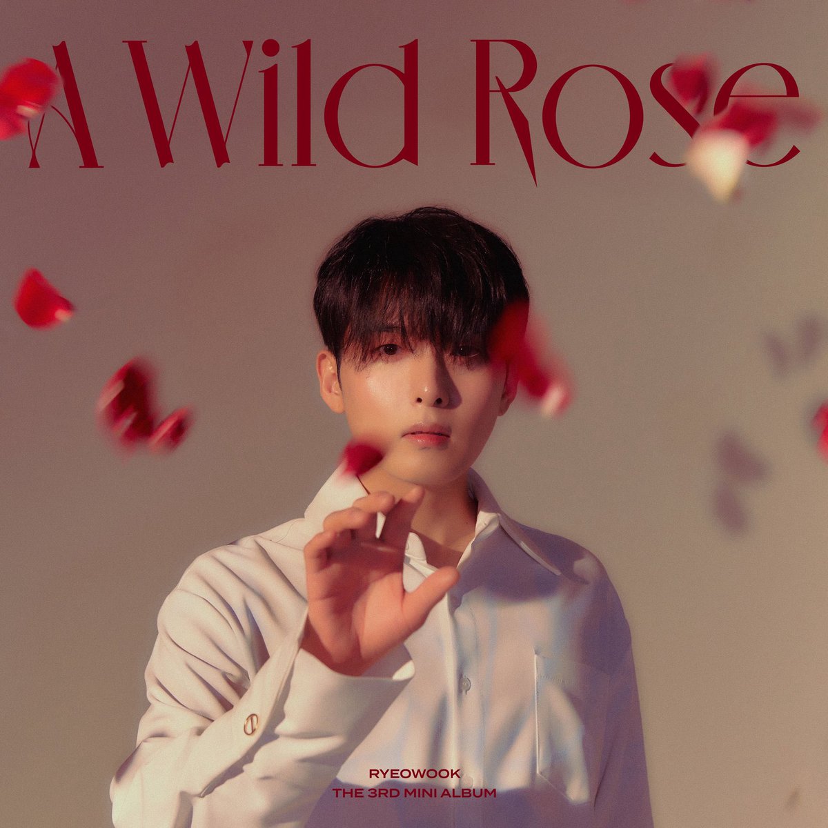 Ryeoblossom's tweet photo. Only answer. https://t.co/cPlyCQg5EM