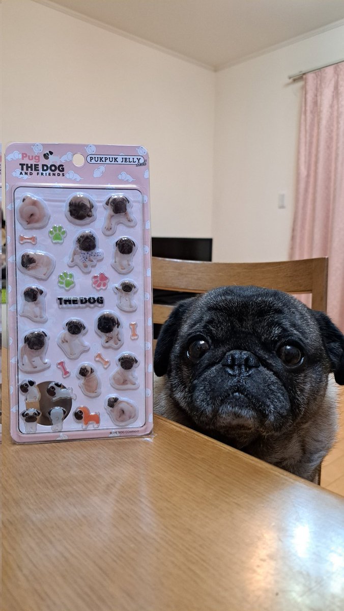 T7W98m7fTLOFWE7's tweet photo. 探���ていたパグのぷくぷくシール✨
やっと見つけたよ🐶🎶 https://t.co/wtFZghzKsY