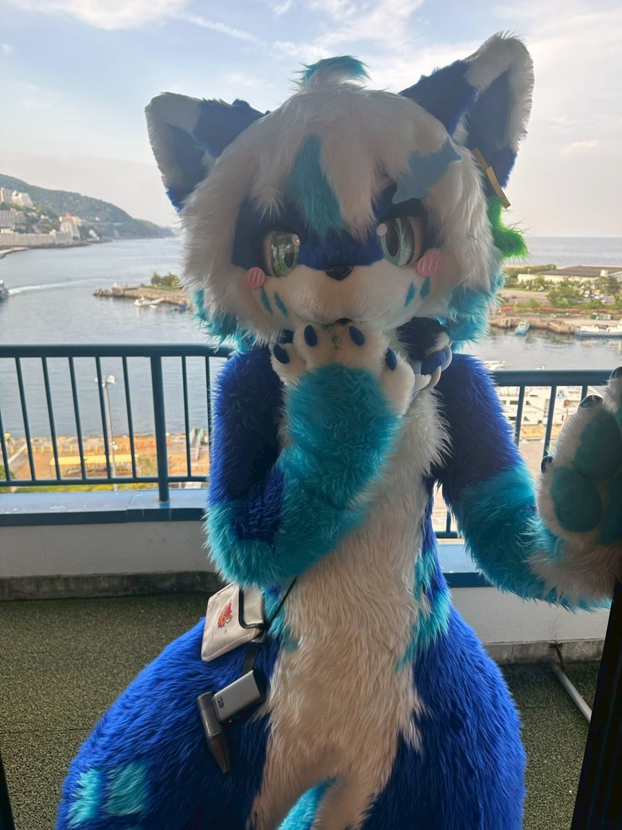 Larudia_furry's tweet photo. み～つけたなのです～✨
一緒にあそぼ～ฅ(*'ω'*)ฅ
#けものノおふ5 https://t.co/RpDUNEqZlN