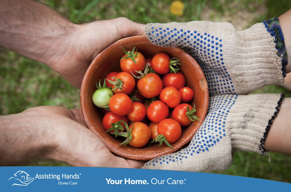 AH_Brevard's tweet photo. Discover a brighter and more vibrant summer season with Assisting Hands ☀️ 🍉 🌷 🍦 

Let us help you or your loved ones live independently and confidently. Contact us today to learn more about our range of services! 🏡💙 https://t.co/ZyKxJUEDIX