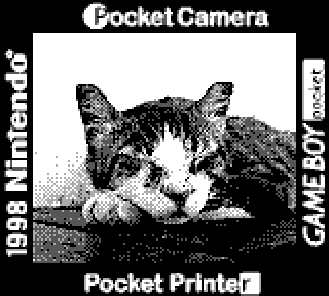 BetterStayHigh's tweet photo. киса спит
#gameboycamera #gameboyphoto https://t.co/V91Wz10EFu