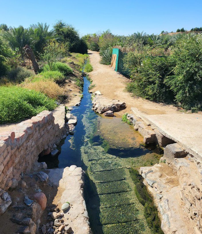 Ibrahim_al_orfi's tweet photo. #ينبع_النخل
انحسار الماء في “فلج #عين_عجلان” جرح قاع الأرض، وأعاد للأذهان صراع الحياة والموت 🥺
اللهم اغثنا غيثًا يحيي الأرض بعد موتها،
اللهم اسقنا الغيث ولا تجعلنا من القانطين 🌧️ https://t.co/skecVUiJbt