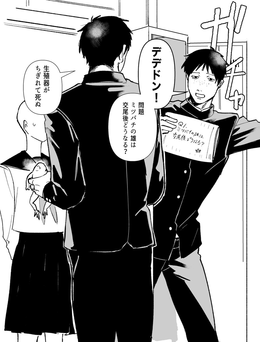 SuperRIKISI's tweet photo. ⚠️白ハゲ　捏造　学生ﾏﾕｰﾗとﾋﾗｶﾞｲの絡み見たすぎね(セリフはだいぶ適当) https://t.co/WVHIj6v9zg