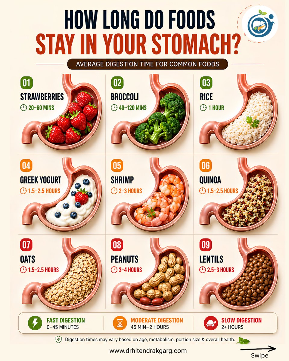 DrHitendraKGarg's tweet photo. visit : https://t.co/XaViDlZwpk
 Fruits digest faster.
 Protein &amp; fat-rich foods digest slower, keeping you fuller for longer.
Knowing your food's digestion time can help support better gut health and steady energy.Which food surprised you the most? 
#GutHealth #DigestiveHealt https://t.co/6aKXtJfPyz