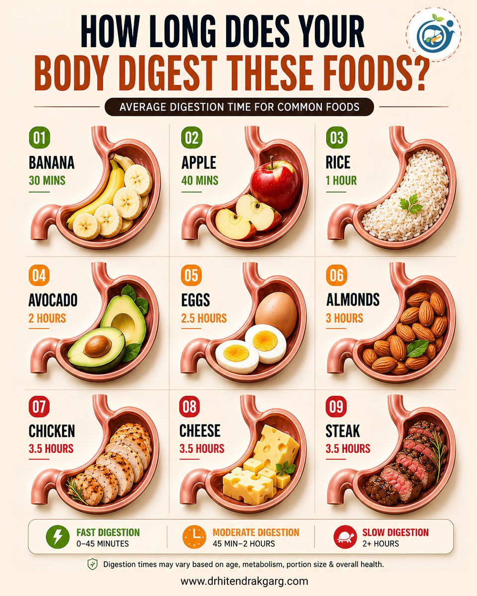 DrHitendraKGarg's tweet photo. visit : https://t.co/XaViDlZwpk
 Fruits digest faster.
 Protein &amp; fat-rich foods digest slower, keeping you fuller for longer.
Knowing your food's digestion time can help support better gut health and steady energy.Which food surprised you the most? 
#GutHealth #DigestiveHealt https://t.co/6aKXtJfPyz