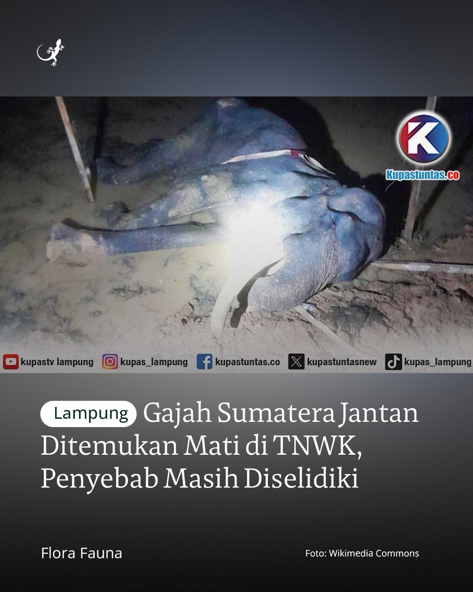 MongabayID tweet picture