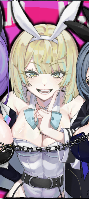 www33ex's tweet photo. 消えたバニの部分 https://t.co/GX2GcXGVa3