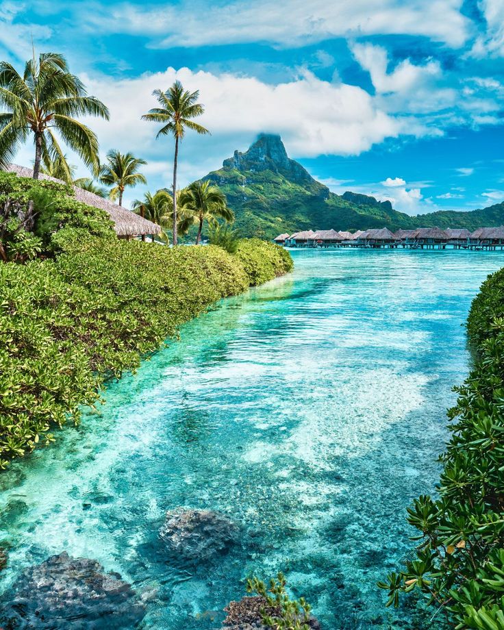 WaterSoul55's tweet photo. 📍Bora Bora, French Polynesia 🇵🇫 https://t.co/o08dVxAyL7