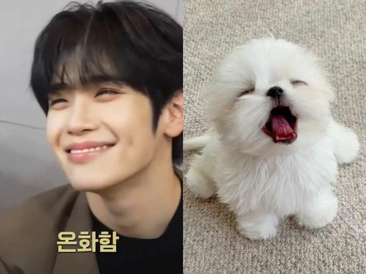 taeraeeeya's tweet photo. 꿀들한테는 태래 이렇게 보임 ㅇㅇ 탤뭉ㅇ이 그 자체 https://t.co/l5L1j4jpIt