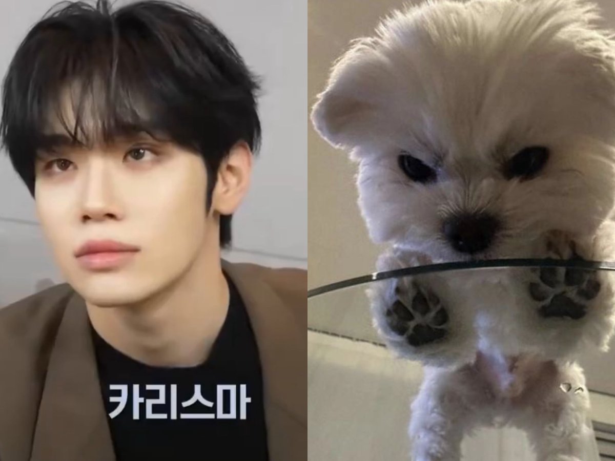 taeraeeeya's tweet photo. 꿀들한테는 태래 이렇게 보임 ㅇㅇ 탤뭉ㅇ이 그 자체 https://t.co/l5L1j4jpIt