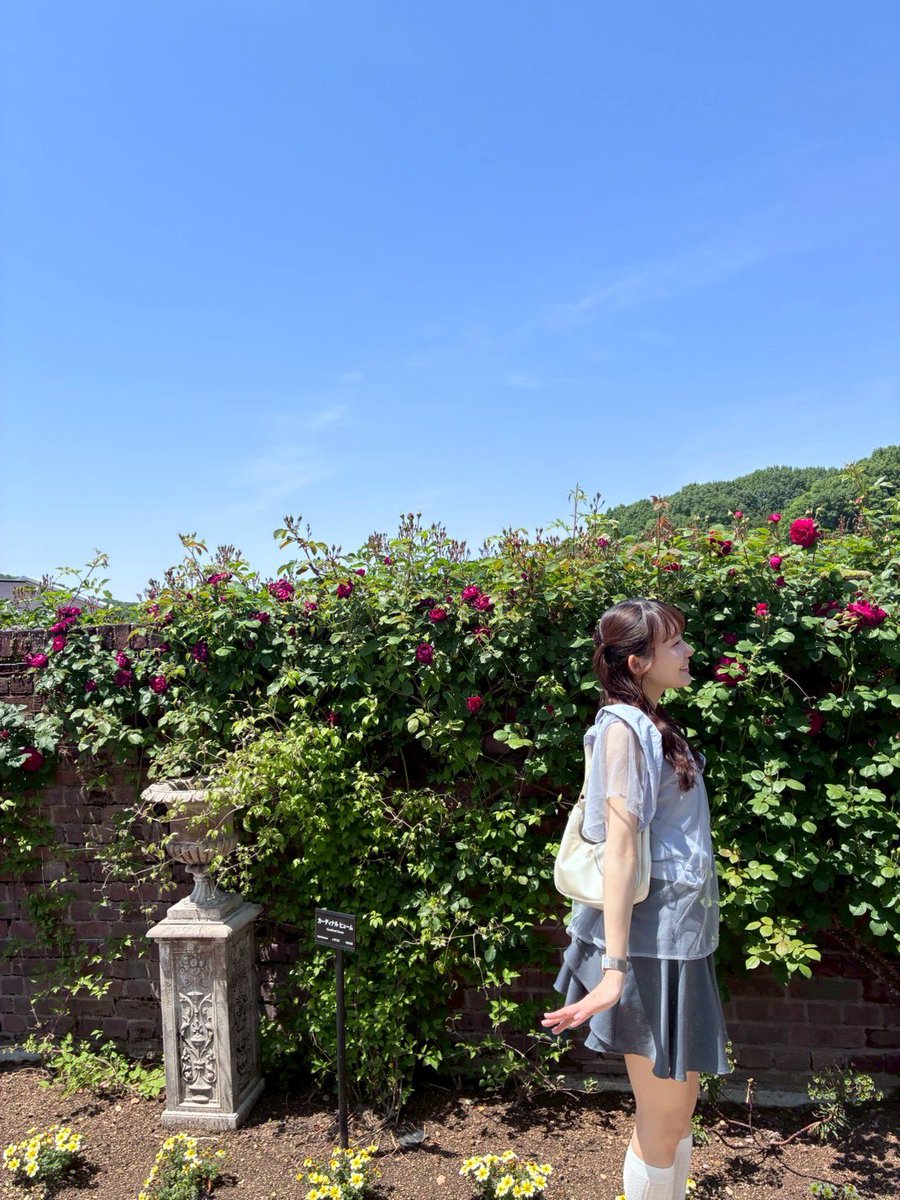 pchan_22_'s tweet photo. お花とご飯がだーいすき🫶🏻

 #日常垢  #日常垢さんと繋がりたい https://t.co/WHdlEVF4qG