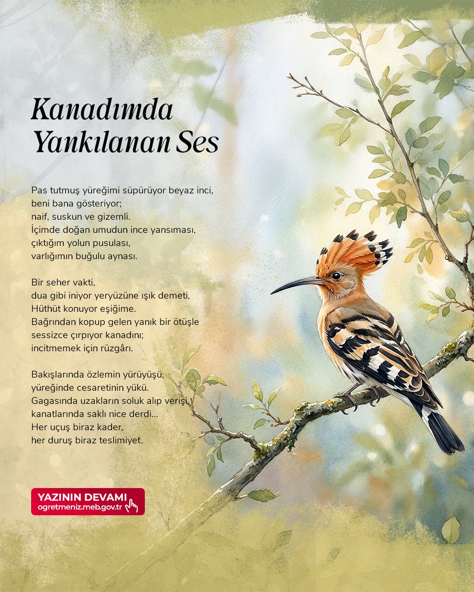 ogretmenizmeb's tweet photo. 🕊️ Umut ve cesaretin yankısı…

Büşra KAFTAN’ın “Kanadımda Yankılanan Ses” şiiri, içsel yolculuğu ve özgürlüğü kanat metaforuyla dile getiriyor. Her uçuş, her duruş, hem teslimiyet hem de cesaretin simgesi; geçmişin izleri ve geleceğe bırakılan umutla birlikte.

📖 Okumak için 👉 https://t.co/6IkS7WMnQF
🖋️ Sen de kaleminle iz bırak 👉 https://t.co/jSpqIlXejZ

#ÖğretmenİZ 
@tcmeb 
@Yusuf__Tekin 
@omurfatih
