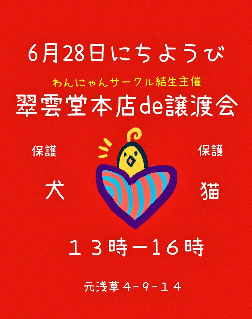 tacapoo211's tweet photo. ハピネスにゃんも参加します💗
初参加にゃんの【あずきちゃん】と
きみこが参加予定
詳細はブログにて後日アップします　#保護犬　#保護猫　#譲渡会　#犬里親　#猫里親 https://t.co/9opIBxqdMx