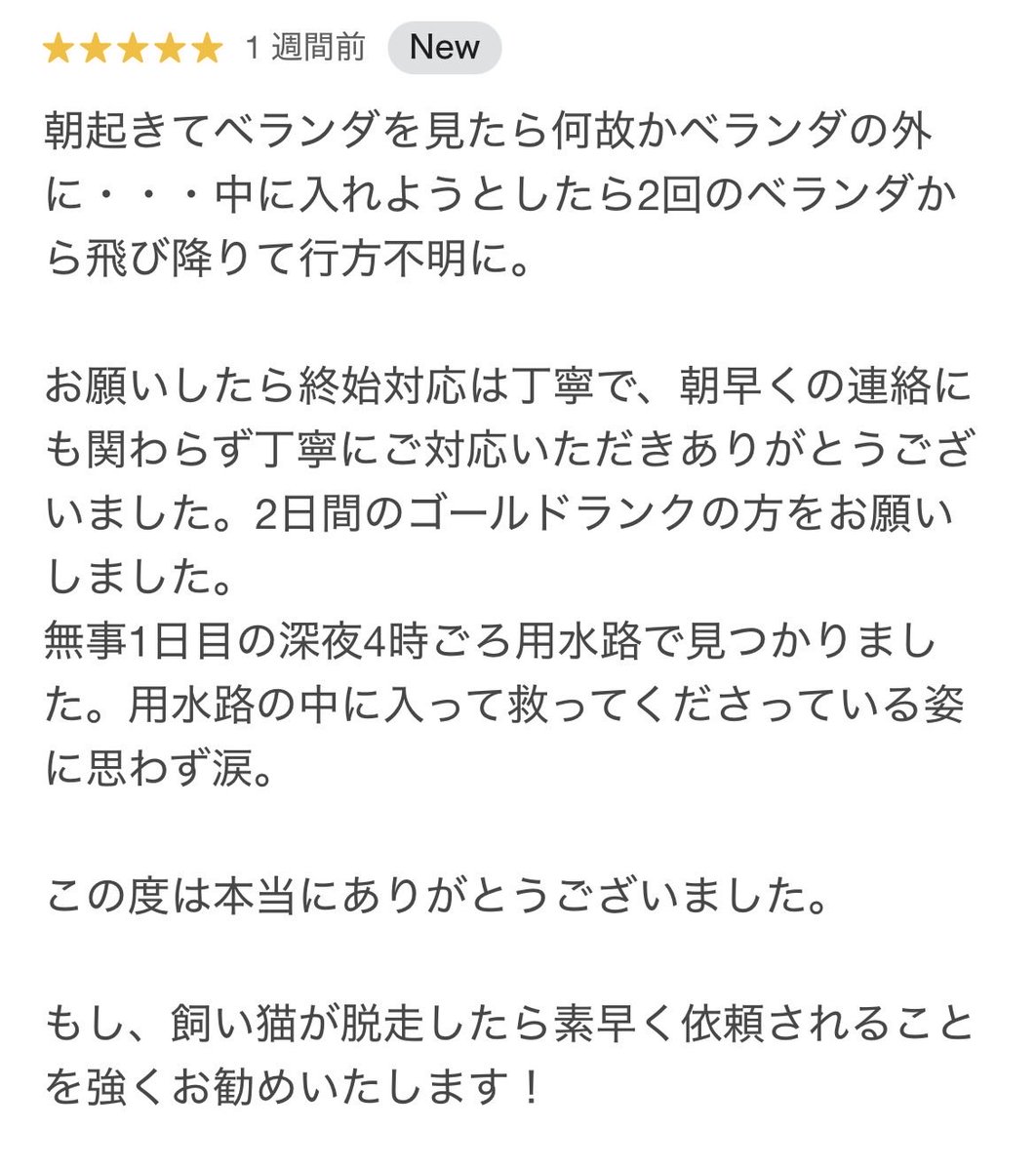 catpro222's tweet photo. 嬉しい口コミをいただきました🐾

猫ちゃん保護できました！と
報告が来るたびに本当に嬉しい気持ちに
なります🥹

温かいお言葉を励みに
今後も全身全霊、保護活動に取り組んで
まいります！ᕦ(ò_óˇ)ᕤｵｰ‼︎
#迷い猫 #猫探偵 #脱走猫 #迷い猫 
#猫探し #キャットプロ https://t.co/zgBjxvWCKP