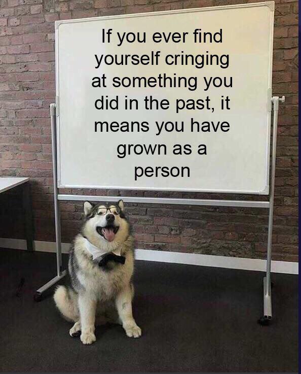 WholesomeMeme's tweet photo. https://t.co/p2l3oAfxOJ