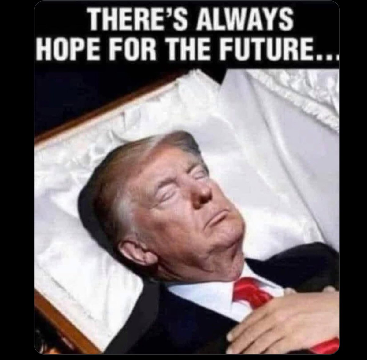 ThomasHeda87671's tweet photo. @_sh1tstain @WhiteHouse Save our democracy https://t.co/7T7Lsz6NfF