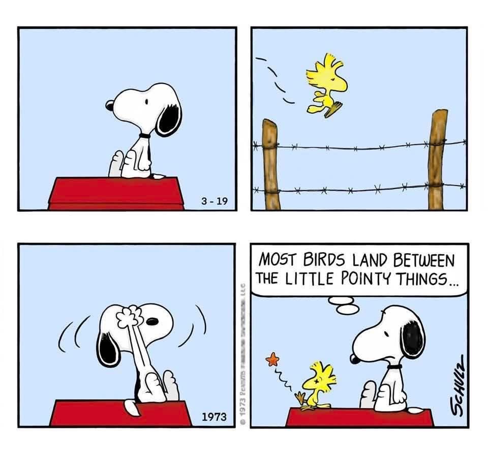 kindness is free ❤️ Mari 🥰 tweet media