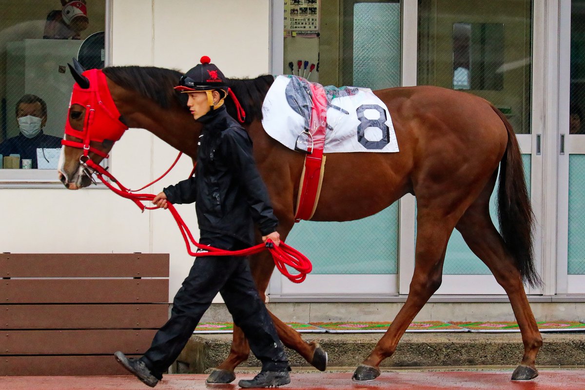 gambacity's tweet photo. 2026年6月25日
佐賀競馬場でおこなわれる
「JRA交流 えびの特別」に
エイシンチョンパ
「JRA交流 大隅特別」に
ジュンオーズ
兵庫県競馬から２頭が遠征
応援よろしくお願いいたします！！ https://t.co/WWsYhptgeN