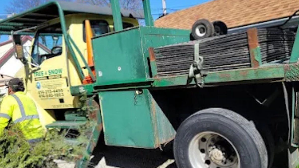 Treesnowservice's tweet photo. Can you grind a stump yourself?

✔️ Possible with rented equipment
✔️ Best for small stumps
✔️ Safety comes first

💡 Large stumps are often best left to professionals.

https://t.co/HtMMQmWuIO

#StumpGrinding #TreeCare #DIY https://t.co/4Dq5gZsbth