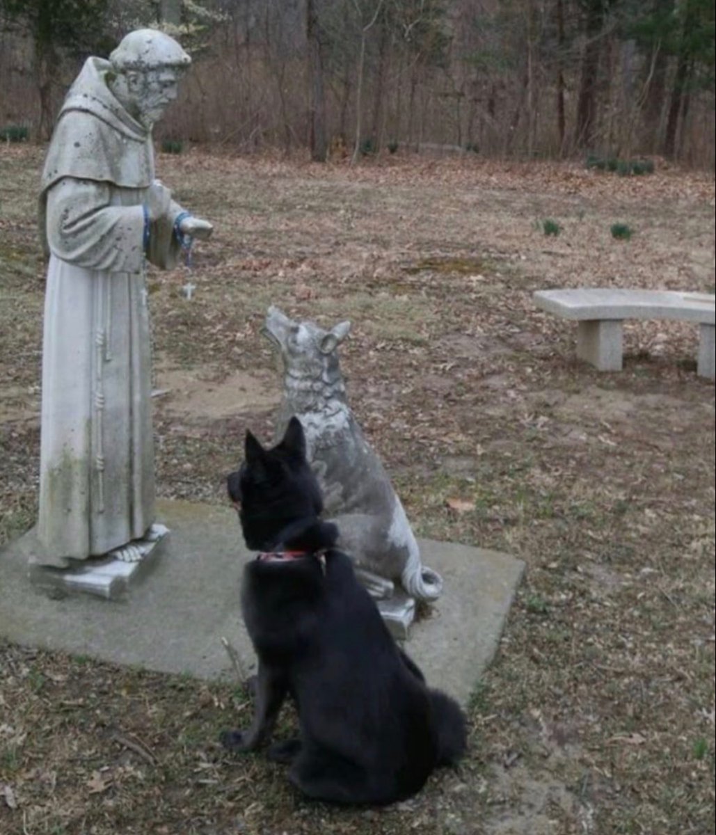 prayandfast2's tweet photo. St. Francis of Assisi, pray for us! https://t.co/EdGITvlMeA