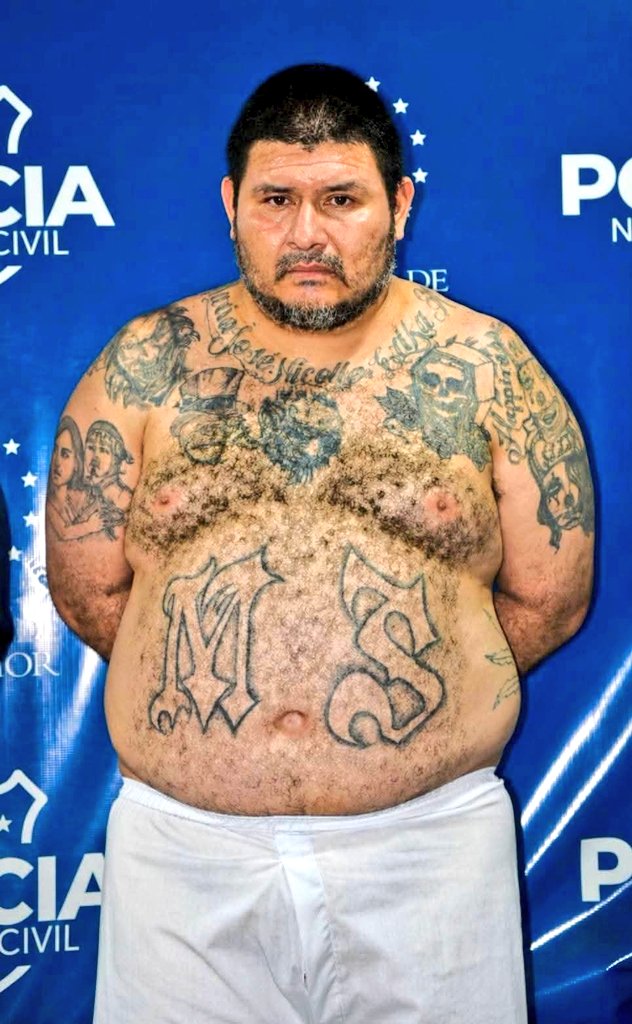 ChrisGuevaraG's tweet photo. Hace dos años, a este terrorista de la MS lo denunció un repartidor de pizza, luego de entregarle su pedido en una colonia lujosa.

Estos eran los terroristas que vivían como reyes y que hoy están en el #CECOT sin lujos y pidiendo perdón por todo lo que hicieron.

Estos son los terroristas a los que la oposición quiere liberar.