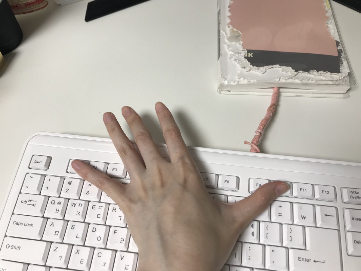펜다이크 tweet media