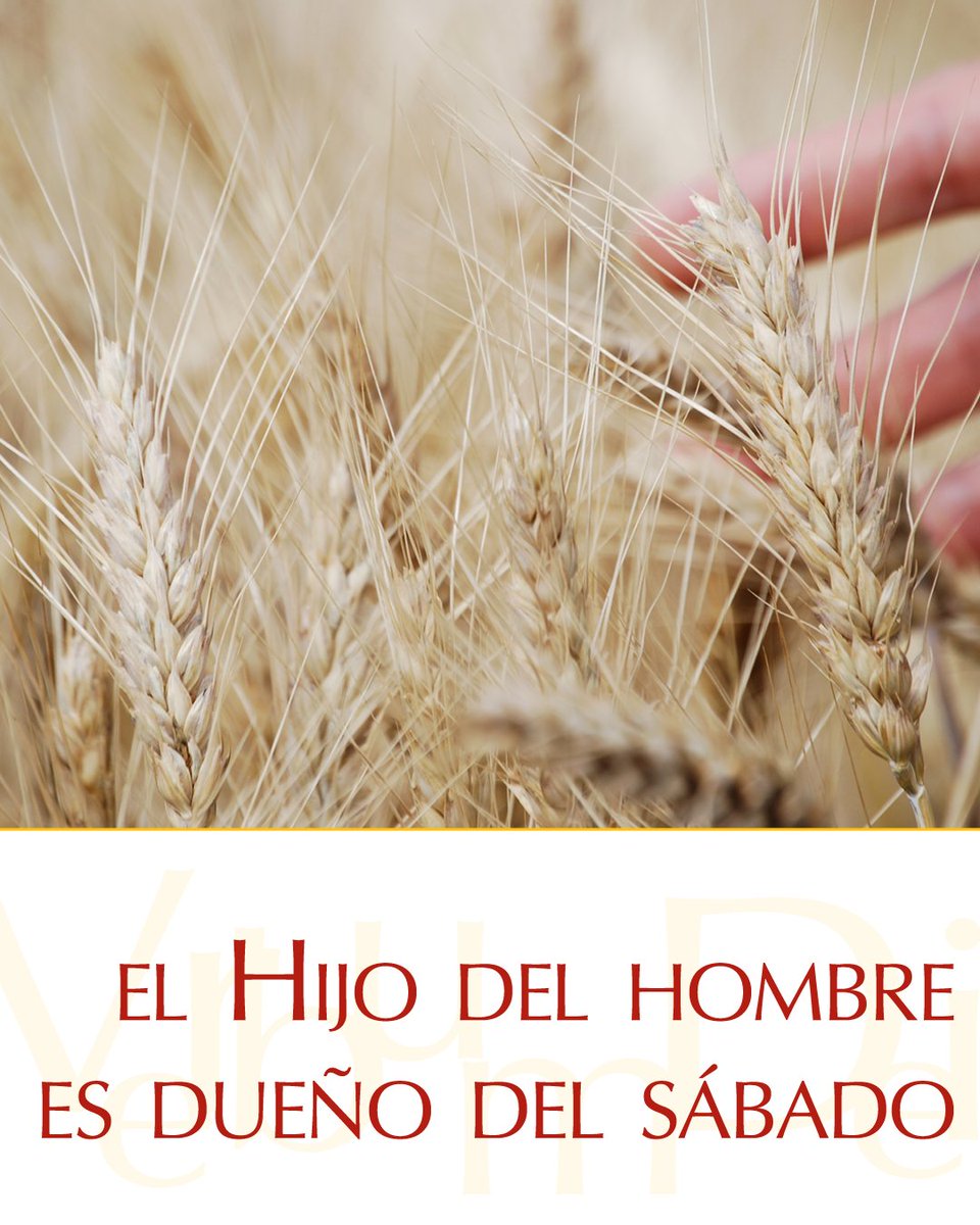 vaticannews_es's tweet photo. #17dejulio ¡Buenos días! Este Viernes de la XV semana del Tiempo ordinario compartimos el #EvangelioDeHoy según San Mateo 12, 1-8
Puedes seguirlo aquí: 
https://t.co/tX8AGt38nF https://t.co/avq7K7BhGS