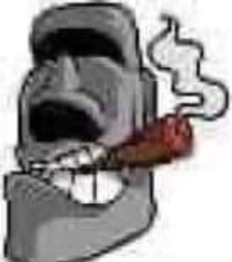 fr1ko.eth tweet media