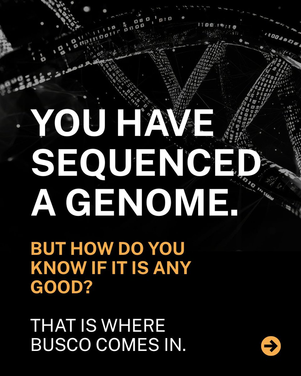 diplomics_sa's tweet photo. Sequencing a genome is one step. Knowing whether that sequence is reliable is another.

BUSCO scores measure genome assembly completeness by checking for the presence of genes expected to appear across a given group of organisms. A high score indicates a well-assembled genome. A low score flags gaps that could affect downstream research.

Publishing BUSCO scores alongside genome data is standard practice in quality genomics work. It tells other researchers exactly what they are working with before they build on it.

#Genomics #BUSCO #GenomeAssembly