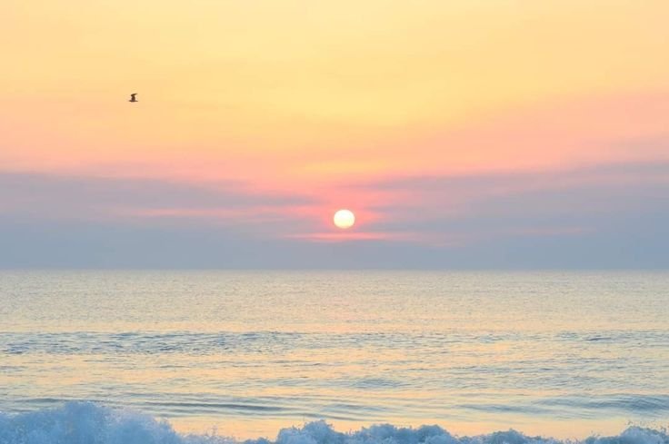 kooromi19's tweet photo. sunsets https://t.co/XNZrUbbFQR