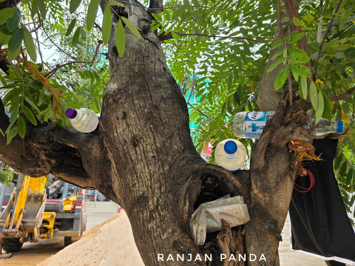 ranjanpanda's tweet photo. Today's #ClimateGyan in one image! #43
Urban Heat: Of loss of trees, ecological poverty and social injustice -
Just a couple of days ago, while walking through one of the busy market areas of Bhubaneswar, I stumbled upon this image. This reminded me, as many cities race to remove their last remaining trees in the name of development, those living and working in the informal economy are left with fewer places to find relief from intensifying heat. This photograph captures a quiet yet powerful reality: a parking lot security guard using the branches of one of the few surviving trees to store his drinking water and keep it relatively cool.
It is a stark reminder that the climate crisis is not only widening income inequalities; it is also deepening ecological poverty. Access to shade, clean air, cooler surroundings, and other basic ecological services is increasingly becoming a privilege rather than a right. As these natural buffers disappear, the burden falls disproportionately on those who have contributed the least to the crisis and have the fewest resources to adapt.
The loss of trees is not merely an environmental issue—it is a social justice issue. Every tree felled in our cities makes the unequal impacts of heat a little more unequal.
~ Ranjan K Panda
23 June, 2026
#CombatClimateChangeNetwork #WaterInitiatives #MahanadiRiverWaterkeeper #Youth4WaterIndia #UrbanHeat #ClimateJustice #BeatTheHeat #HeatIsOn #EcologicalPoverty #InformalCities @IPCC_CH @Cities_IPCC @UNFCCC @a2rinitiative @C3_NIUA @CityClimFin @Cities4Forests @CitiesWNature @Live_Cities @CitiesForum @CitiesForum_org @CitiesQuestion @NIUA_India @Cities_Today @citiescontest @CitiesPodcast @AIILSG_Official @MoHUA_India @UResilienceHub @Urb_Resilience @ResilienceURNet @URBProject @urplat @WUF_UNHabitat @WorldUrbanForum @urbanupdatemgzn @BloombergCities @bloombergcities @Waterkeeper @MahanadiRiver @rdmodisha @Youth4WaterIn @WaterInitiativ1