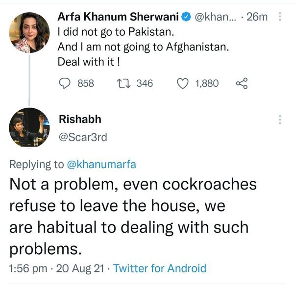 Ninda Turtle tweet media