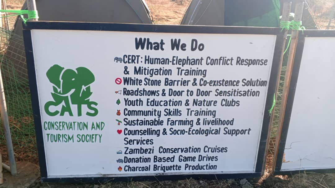 ElephantCrisis's tweet photo. Livingstone has grown from 30,000 to 180,000 people in 50 years, directly into elephant movement routes. 11 people died in last season's conflicts. ECF is funding @CATS_Lstone to keep Zambia's only urban community-based elephant response team on the ground, promoting coexistence. https://t.co/icOYyYKuO8