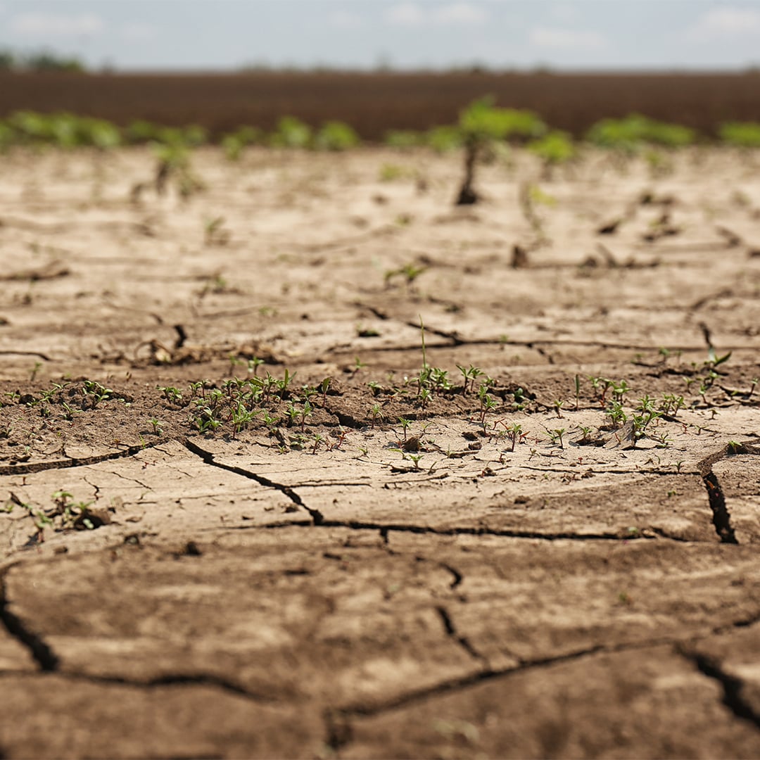 Heroesofnetzero's tweet photo. Extreme weather ranging from flooding to drought is becoming the norm as climate change increases pace. It’s still not too late, but more businesses must act now to help slow the impact on our planet.

#Drought #Flooding #Betterworld #ElNiño https://t.co/uKzCUCFs5T