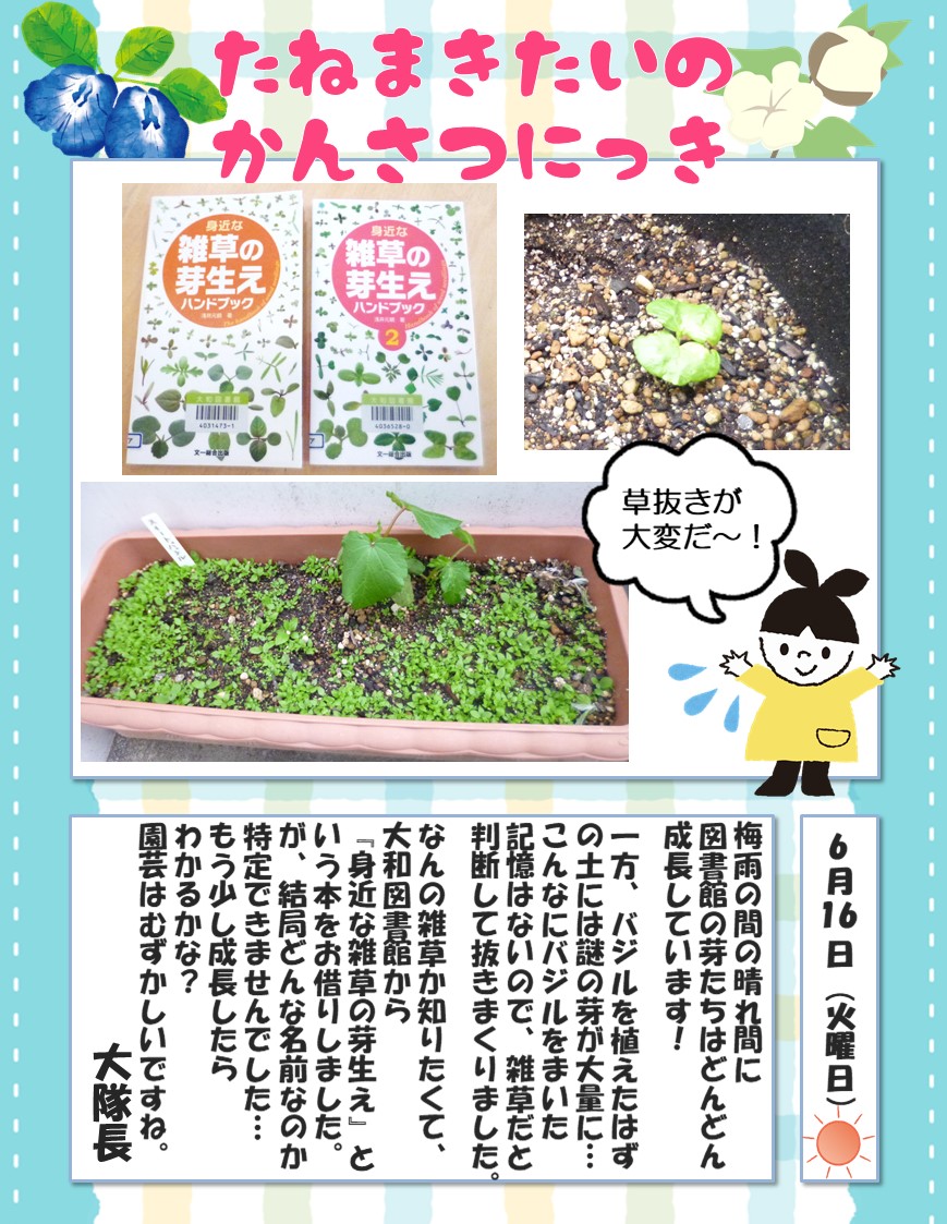 SEEDS LIBRARY ～たねちゃんの種～ 【たねまき隊の観察日記2026】vol.5