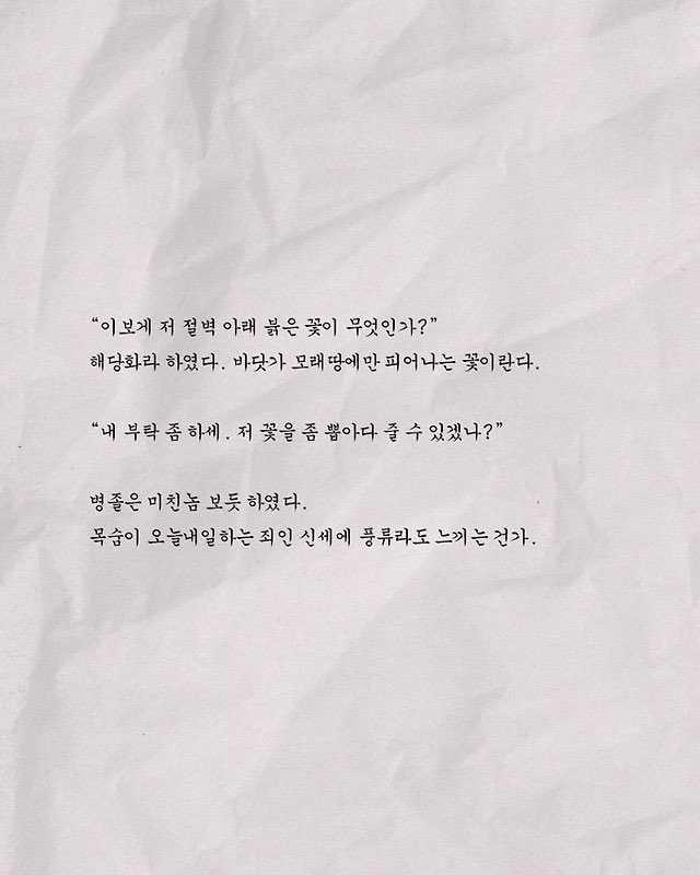 chidchayeol's tweet photo. ดีเทลดอกไม้ยันนาทีสุดท้าย 🥹จากบทละครเต็ม:
ตอนถูกเนรเทศ อีฮยอนให้เงินทหารเพื่อให้เด็ด🌹ดอกแฮดังฮวา (กุหลาบป่า) ใต้หน้าผามาให้ และเอาไปปลูกในลานบ้าน นึกถึง ‘ผู้ที่มีใบหน้าคล้ายกับดอกไม้‘ 

“ดอกไม้สีแดงตรงใต้หน้าผานั่นคือดอกอะไรหรือ?”
มีคนบอกว่ามันคือดอกแฮดังฮวา เป็นดอกไม้ที่เบ่งบานได้เพียงบนผืนทรายริมชายฝั่งทะเลเท่านั้น

“ข้าขอไหว้วานอะไรหน่อยเถอะ เจ้าช่วยไปเด็ดดอกไม้นั้นมาให้ข้าหน่อยได้หรือไม่?”

ทหารผู้นั้นมองมาราวกับมองคนบ้า อยู่ในสถานะนักโทษที่ชีวิตจะตายวันตายพรุ่งอยู่แล้วแท้ๆแต่ยังมีกะจิตกะใจจะเสพสำราญกับธรรมชาติอีกงั้นหรือ

ดอกแฮดังฮวาที่ย้ายมาปลูกไว้ในลานบ้านลู่ไหวไปตามลม หรือข้าไม่ควรปลูกมันตั้งแต่แรกกัน
ดอกไม้สีแดงช่างงดงามผลิบาน ยิ่งทำให้บ้านมุงจากที่ถูกโอบล้อมด้วยกิ่งไม้ดูซอมซ่อเหลือเกิน
ตัวข้านี้ยังคงเป็นคนไม่ได้ความถึงเพียงนี้เชียวหรือ

เพียงแค่คิดว่าจะได้พบหน้าเจ้า หัวใจก็เต้นระรัวถึงเพียงนี้ (🥺❤️)

ถึงแม้จะส่งสายตาดุดันที่เต็มไปด้วยคำสบถที่ไม่กล้าเอ่ยปากออกมา แต่เมื่อยื่นเงินตำลึงเงินให้ไปอย่างเงียบๆ ดอกไม้สีแดงก็ถูกส่งมาอยู่ในมือ

ดูเหมือนมันจะคล้ายกับดอกไม้ไร้ชื่อที่เบ่งบานอยู่ตามยถากรรมในตำหนักร้างที่ไร้เจ้าของแห่งนั้น
แล้วแววตาอันแสนฉลาดแกมโกงของเด็กคนนั้น... 
ผู้ที่มีใบหน้าคล้ายกับดอกไม้นี้ ก็ผุดขึ้นมาในหัว 

#myroyalnemesis