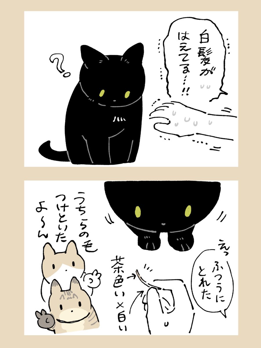 bou128's tweet photo. よくある https://t.co/DBuganS7js